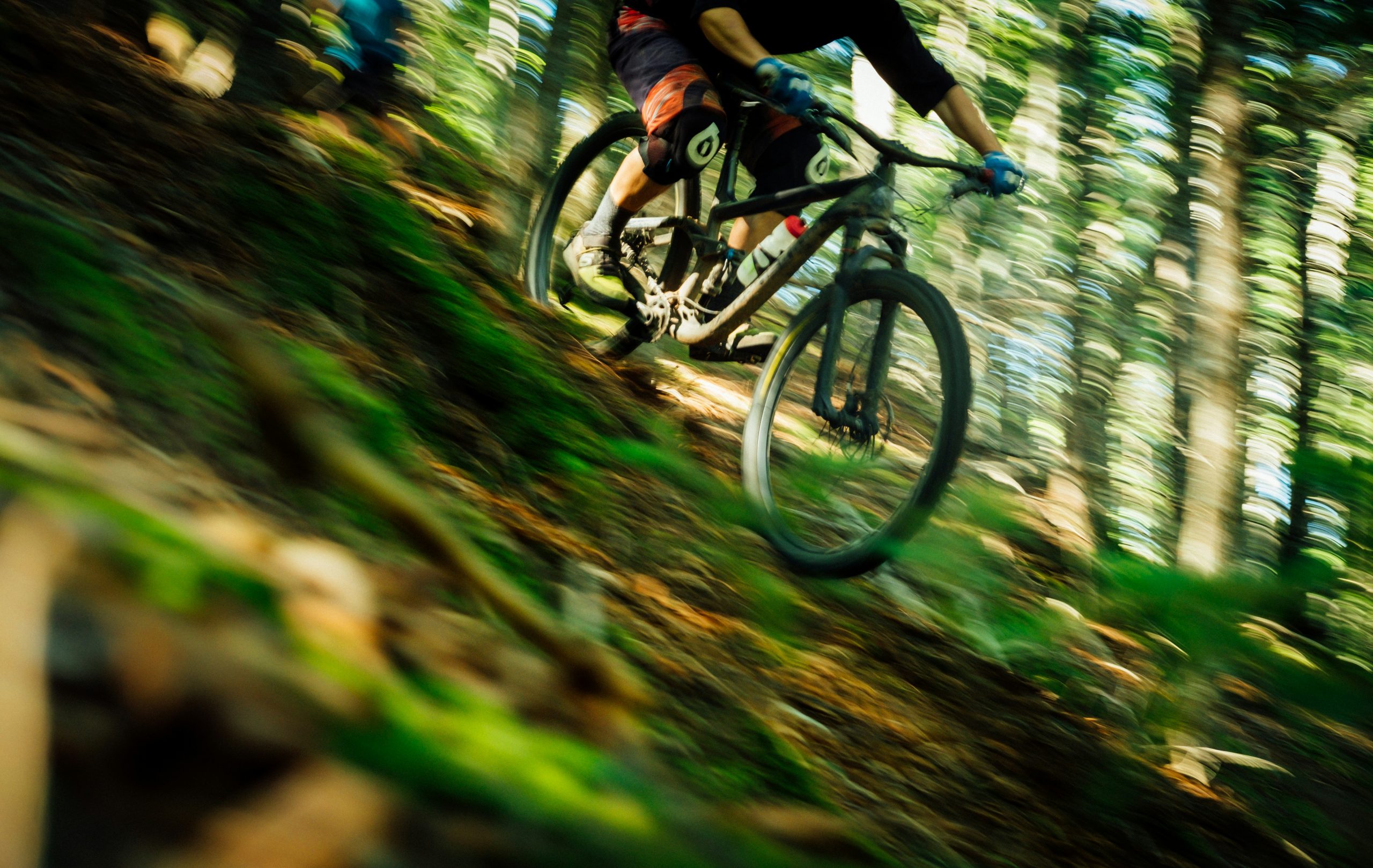 tim foster jhovC0t8f 8 unsplash scaled